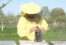 Konkurs za dodelu kredita namenjenih pčelarima