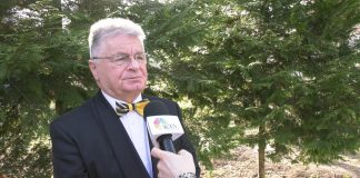 Dejan Lučić – Kada bi država želela da se obračuna sa mafijom morala bi da uhapsi sve političare