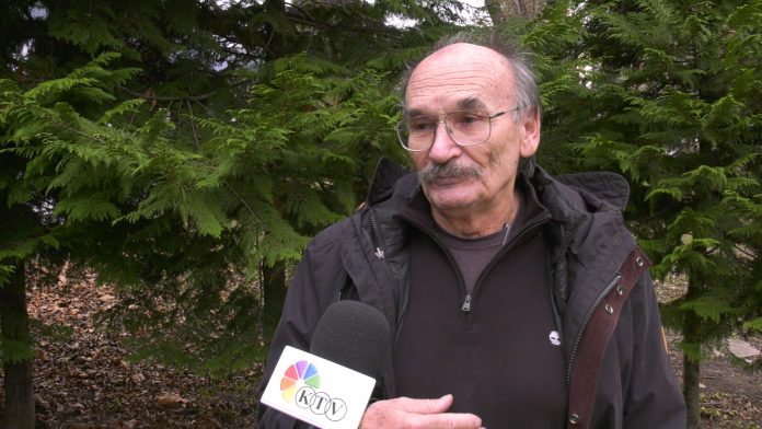 petricic optimizam
