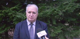 Srba Vasiljević – Mlađan Dinkić je započeo praksu subvencionisanja stranih investitora