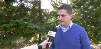 Milan Veruović – U Srbiji mafija upravlja sistemom i državom