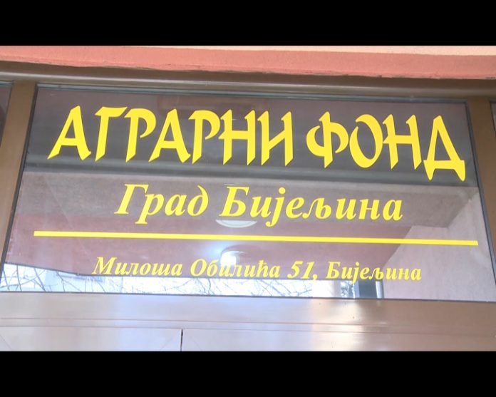 BIJELJINA fond