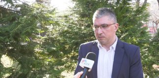 Milan Dumanović – Svi iz uprave Partizana bi trebalo da odgovaraju zbog delovanja grupe Belivuka