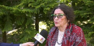 Mirjana Anđelković Lukić – Kineske kompanije su već nanele štetu životnoj sredini i zdravlju ljudi