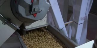 Rast cene soje u odnosu na prošlu godinu veći od 100%