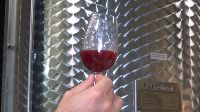 Vino YT