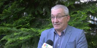 Zoran Ostojić – Politička karijera Dragana Markovića Palme je završena
