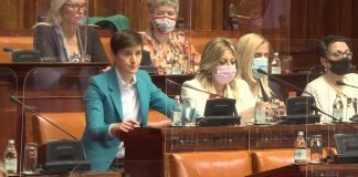 Brnabić – Promena Ustava je veoma važna tema i jedan od tri ključna prioriteta Vlade