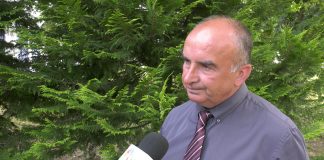 Dragan Radović – U Srbiji je na delu ekonomija političko-birokratske mafije