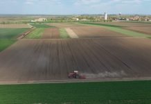 Uskoro IPARD poziv za investicije od 6,6 milijardi dinara u poljoprivredu