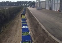 Proizvođači jabuka moraju da primenjuju najnovije tehnologije i da menjaju sortiment