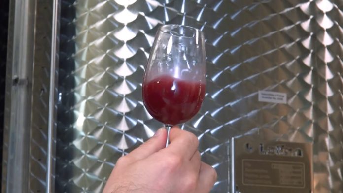 Vino YT