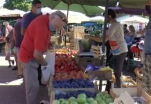 Nikad više cene voća