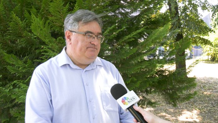 Đorđe Vukadinović, Potpredsednik