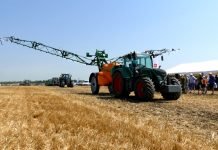 Šest i po milijardi dinara podsticaja za agrobiznis i ruralni turizam