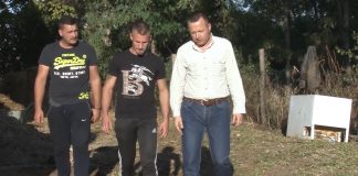 Mladim poljoprivrednicima u Vojvodini bespovratno 200 milona dinara