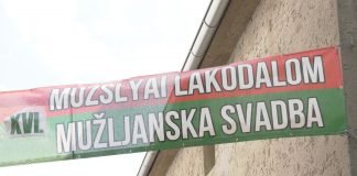 U Mužlji 16. put organizovana manifestacija Mužljanska svadba