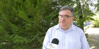 Đorđe Vukadinović – Politički život u Srbiji kao rijaliti program