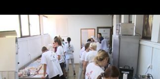 Bijeljina – Međuetnički učenički kamp „Upoznajmo druge i znaćemo koliko vredimo”