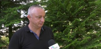 Darko Trifunović – U Srbiji ima portala čiji je jedini zadatak da što više polarizuju društvo
