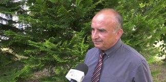 Dragan Radović – Političko-birokratska mafija stvara sivu ekonomiju