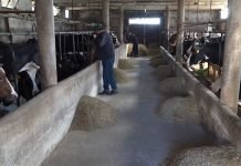 IPARD podsticaji – Finansiranje i objekata čija je izgradnja započeta