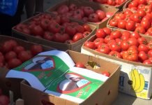 EU proizvodi i izvozi manje svežeg paradajza, ali raste potražnja za prerađenim