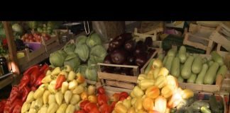 Bijeljina – Skuplje povrće na pijacama