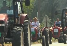 Pokrajinski fond za razvoj poljoprivrede raspisao je 11 novih konkursa