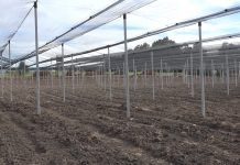 Konkurs za dodelu kredita namenjenih za nabavku novih protivgradnih mreža