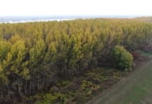 Pravilnik o proglašavanju lovostaja zaštićenih vrsta divljači