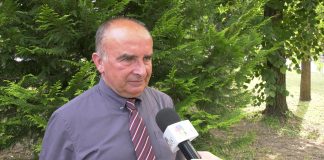 Dragan Radović – Registar pružalaca računovodstvenih usluga je parafiskalni namet privrednicima