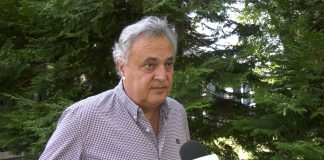 Srđan Škoro – Partijski zakoni za Palmu
