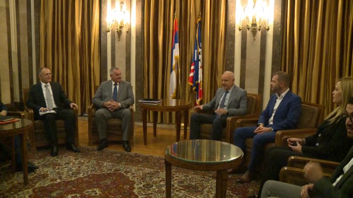 viskovic i radoicic YT
