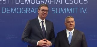 Vučić na Čevrtom demografskom samitu u Mađarskoj