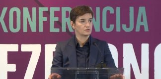 Brnabić – Srbija opredeljena da sprovede svaki sistem za zaštitu dece