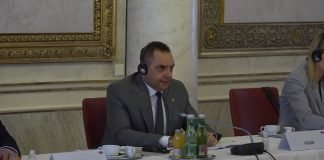 Ministar Vulin sa ministrom spoljnih poslova Austrije o migrantskoj krizi
