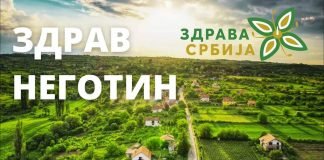 Jelena Vasiljević – Kandidat Zdrave Srbije na lokalnim izborima u Negotinu