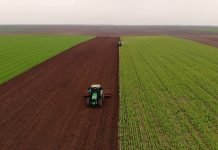 Novi elektronski sistemi u poljoprivredi – Srbija uvodi eAgrar