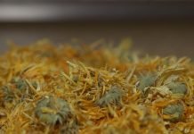 Skladištenje lekovitog bilja