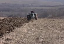 Zimsko oranje i zatvaranje brazde donosi veće prinose