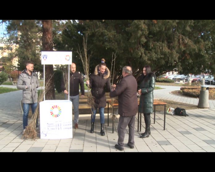 BIJELJINA PODJELA SADNICA