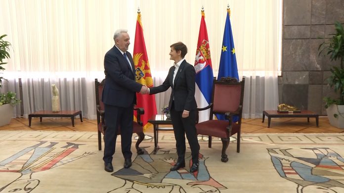 brnabic