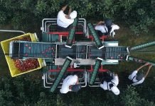 Integralna i biološka proizvodnja je budućnost voćarstva