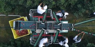 Integralna i biološka proizvodnja je budućnost voćarstva