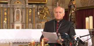 Božićna poslanica biskupa monsinjora dr Ladislava Nemeta