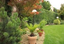 Baštovanstvo za početnike