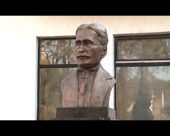 bijeljina pupin bista