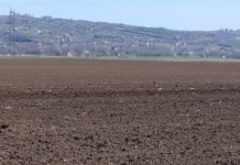 Identifikacija napuštenog obradivog zemljišta