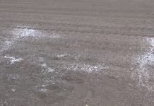 Uvoz azotnog đubriva i bezvodnog amonijaka neće se cariniti